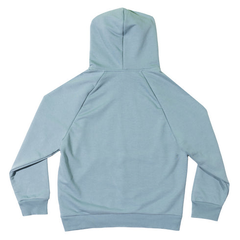 heavyweight french terry hoodie light sage blue back