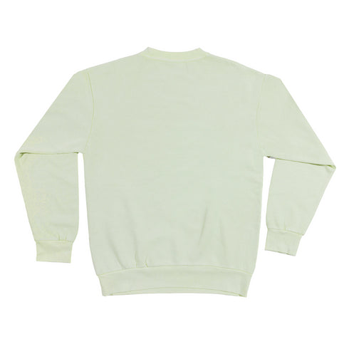 heavyweight pigment crewneck-pistachio back