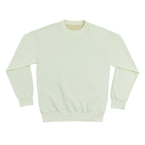 heavyweight pigment crewneck pistachio front