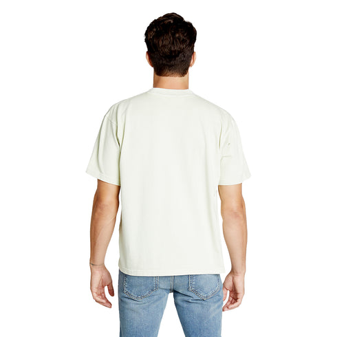 heavyweight pigment tee pistachio model men back