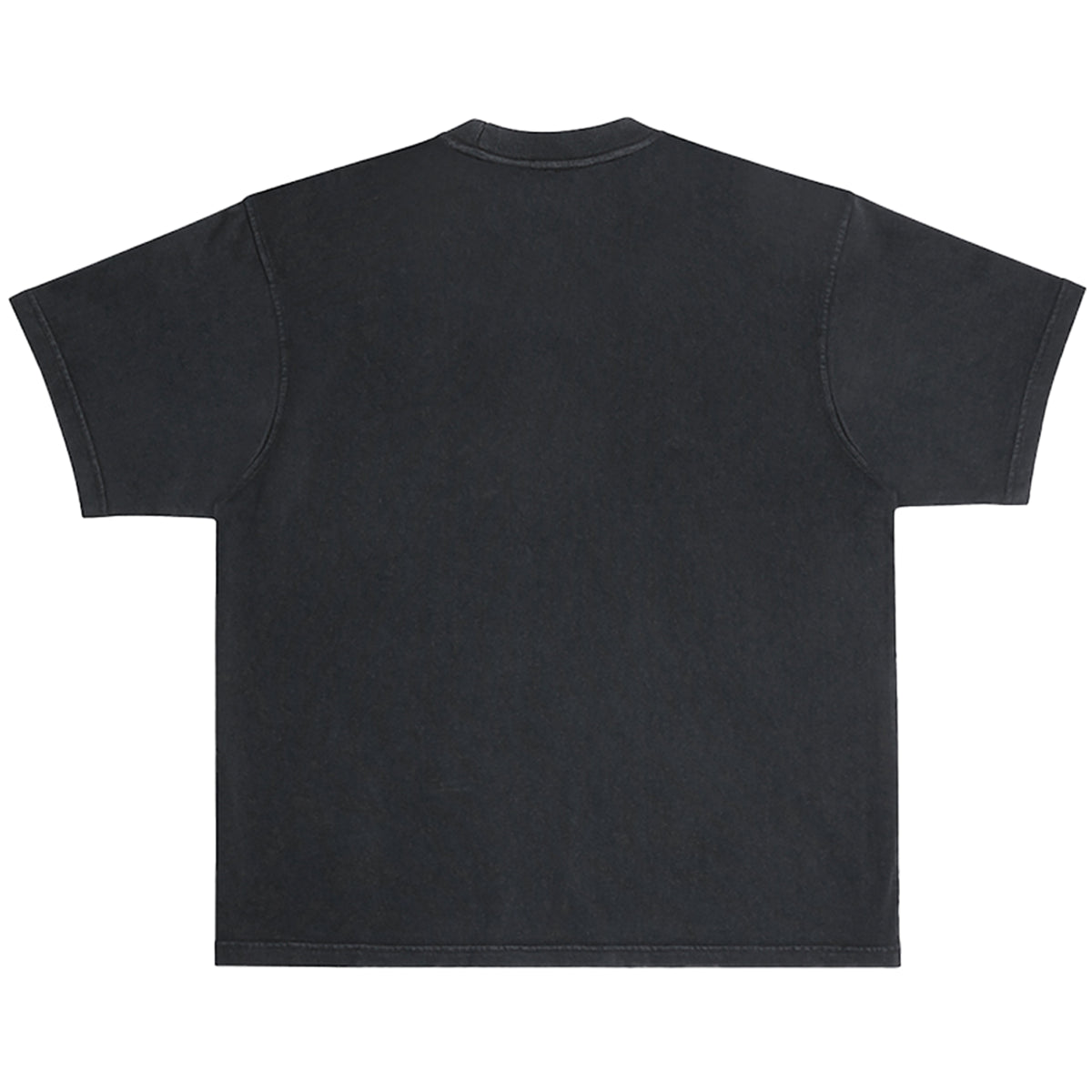 ONLY THE STRONG - ORIGINAL LION Pigment Dyed Heavyweight Tee main image 0